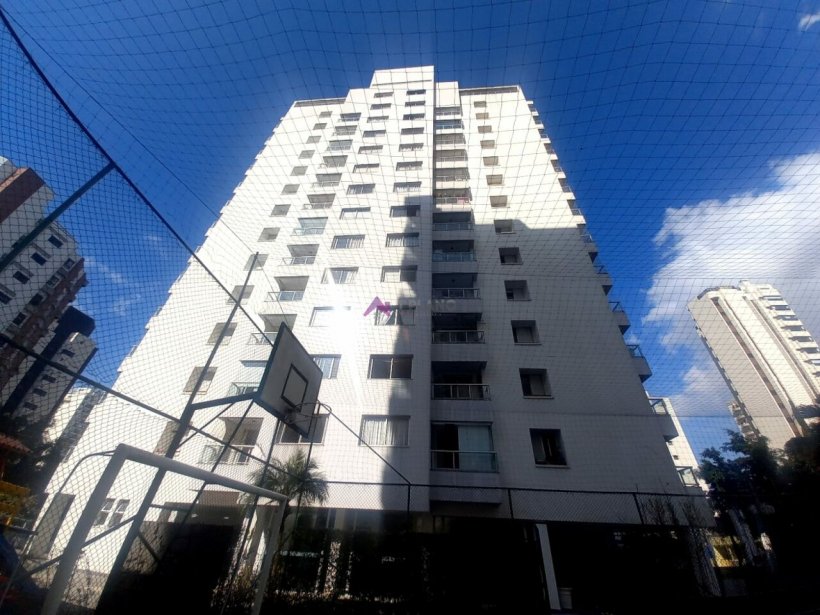 PP454019.jpg
