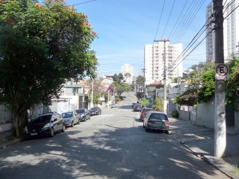 PP1765005.jpg