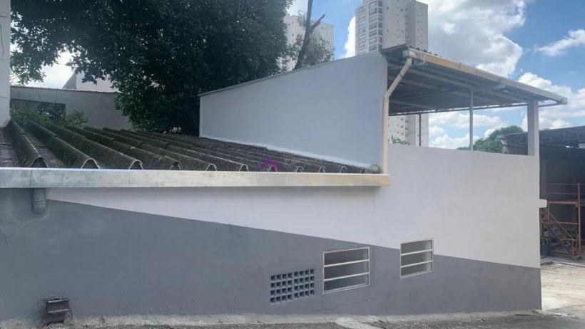 PP1724004.jpg