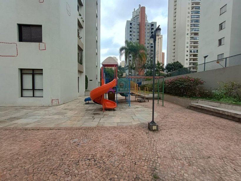 PP1719048.jpg