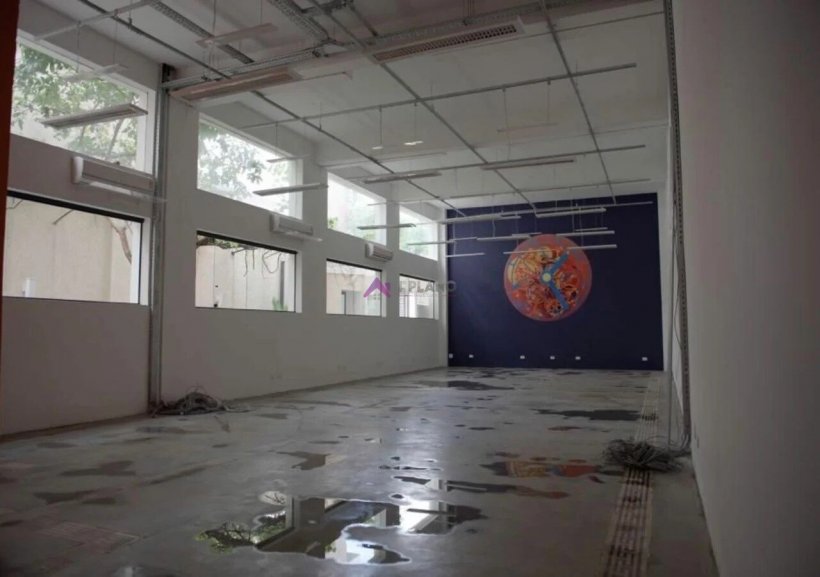 PP1831010.jpg