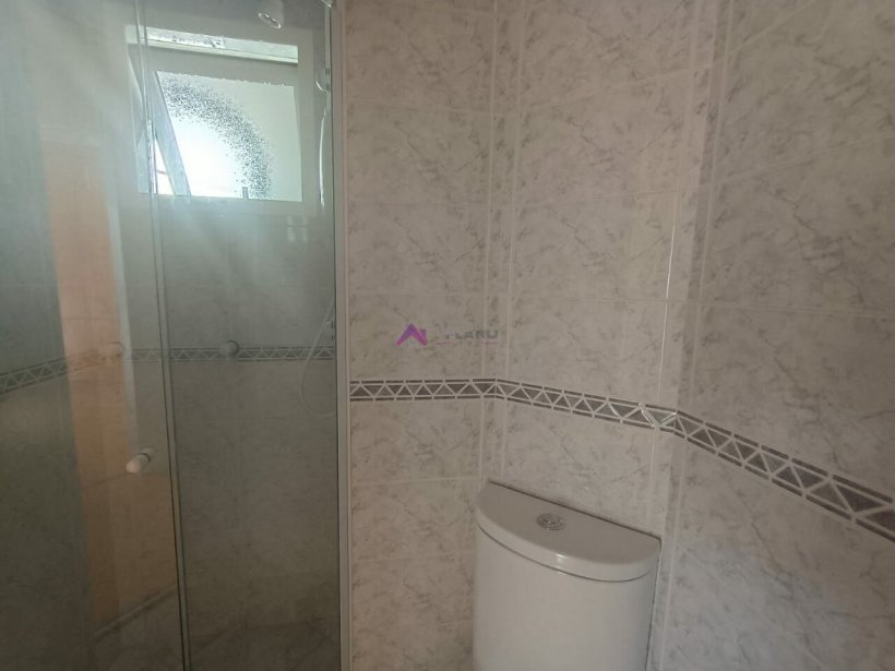 PP1523009.jpg