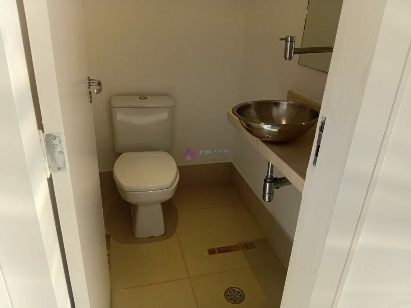 PP614036.jpg