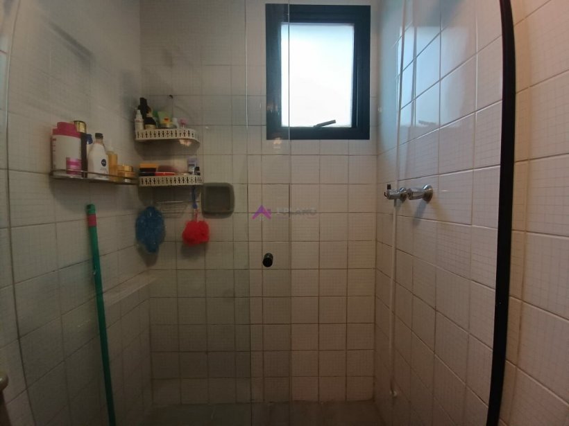 PP1573017.jpg