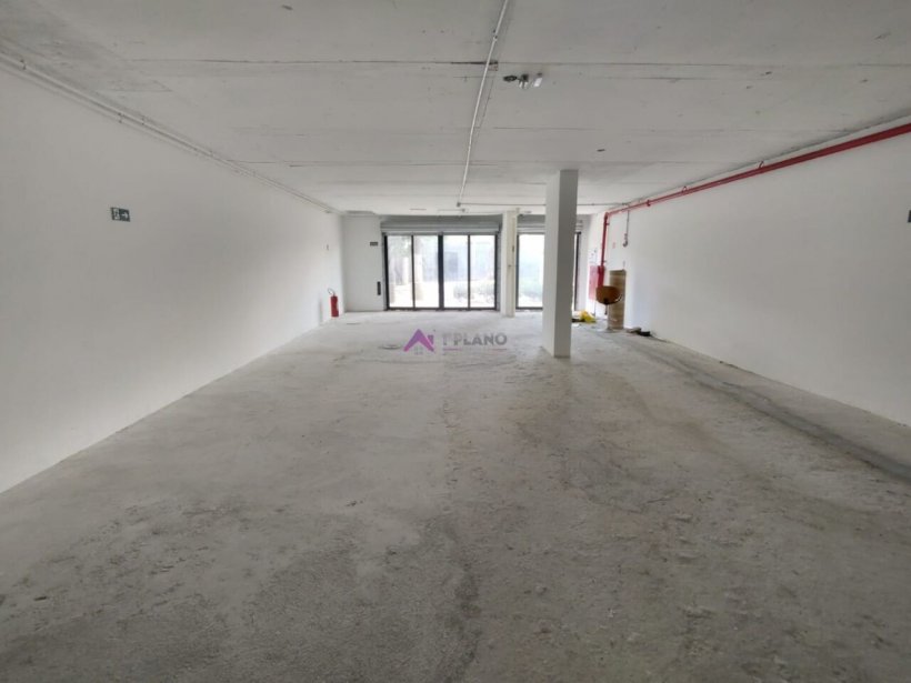 PP1639006.jpg