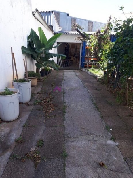 PP1687002.jpg