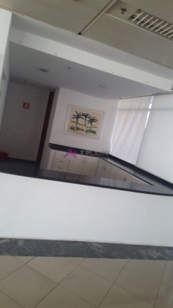 PP1812004.jpg