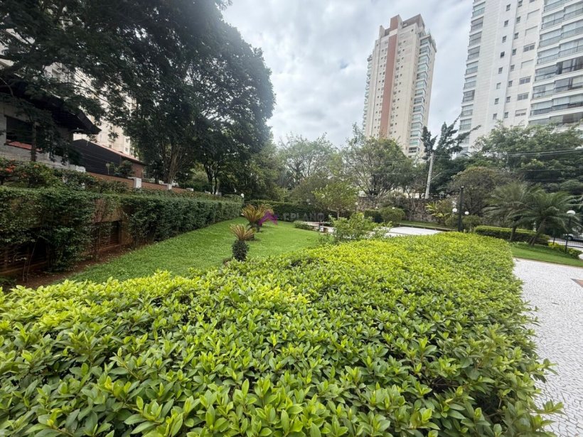 PP1008019.jpg