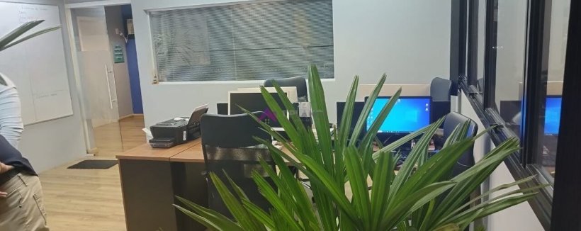 PP1818009.jpg