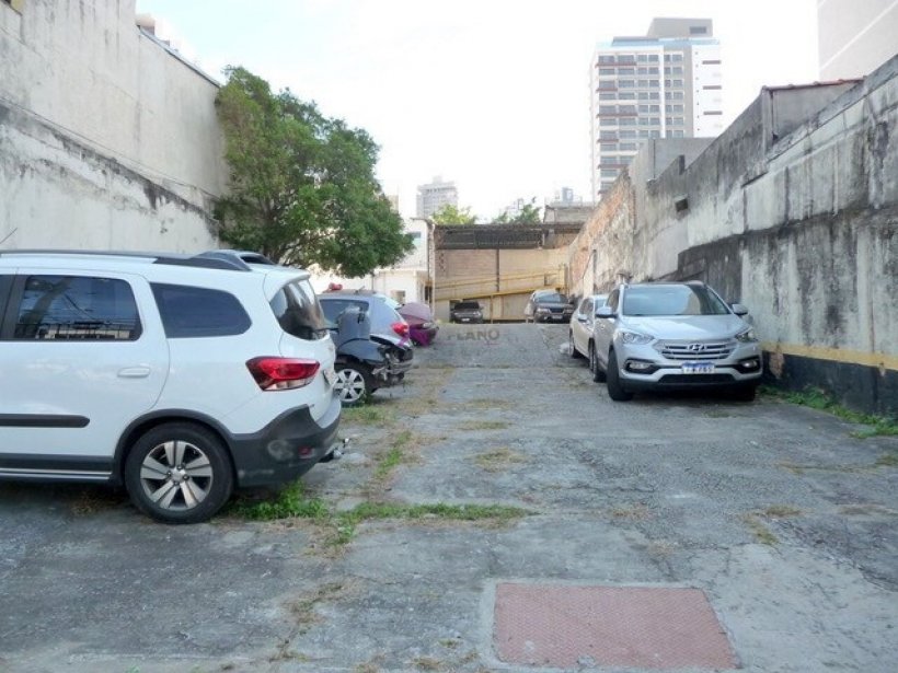PP1765007.jpg