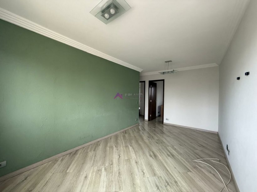 PP1139002.jpg