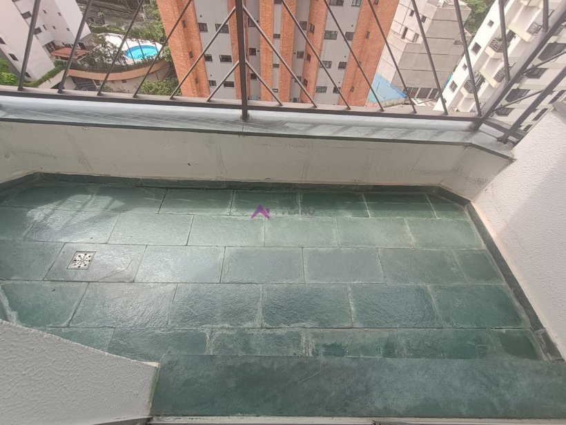 PP1847007.jpg