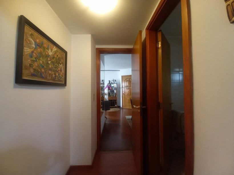 PP805008.jpg