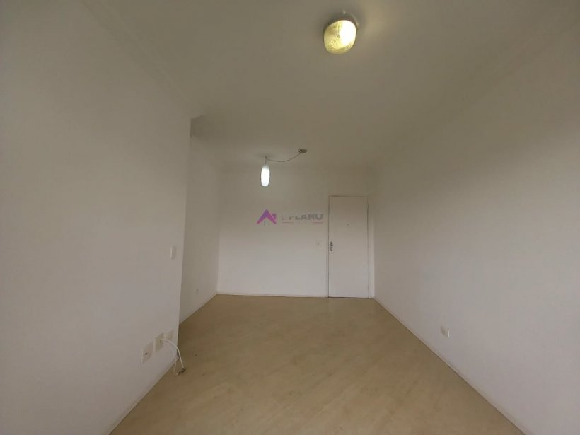 PP189015.jpg
