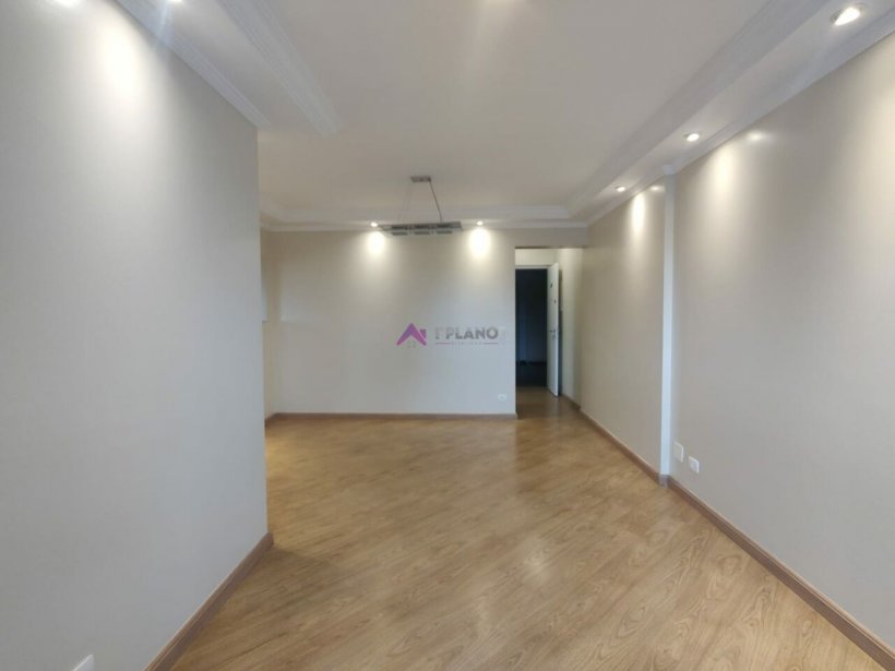 PP608025.jpg