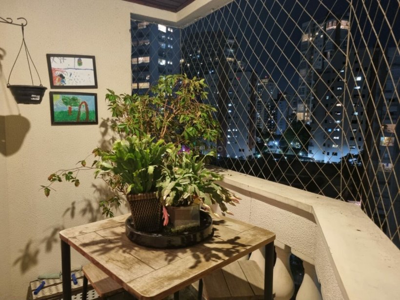 PP1530004.jpg