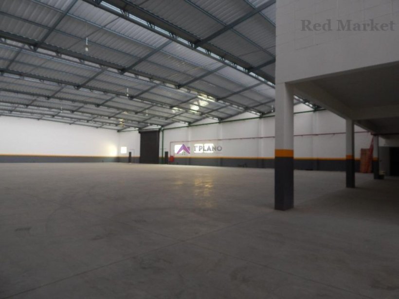 PP1673016.jpg
