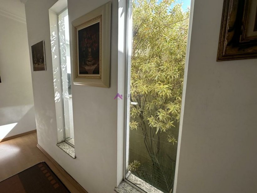 PP459012.jpg