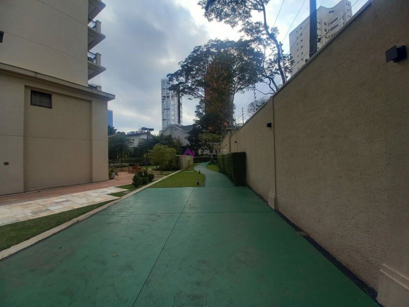 PP553029.jpg