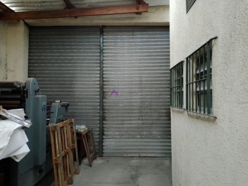 PP1651006.jpg