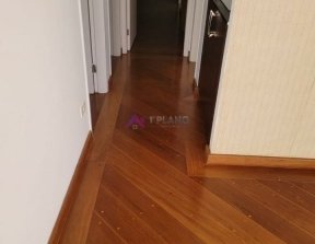 PP463003.jpg