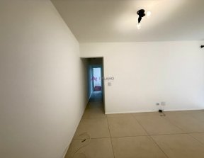 PP1543017.jpg