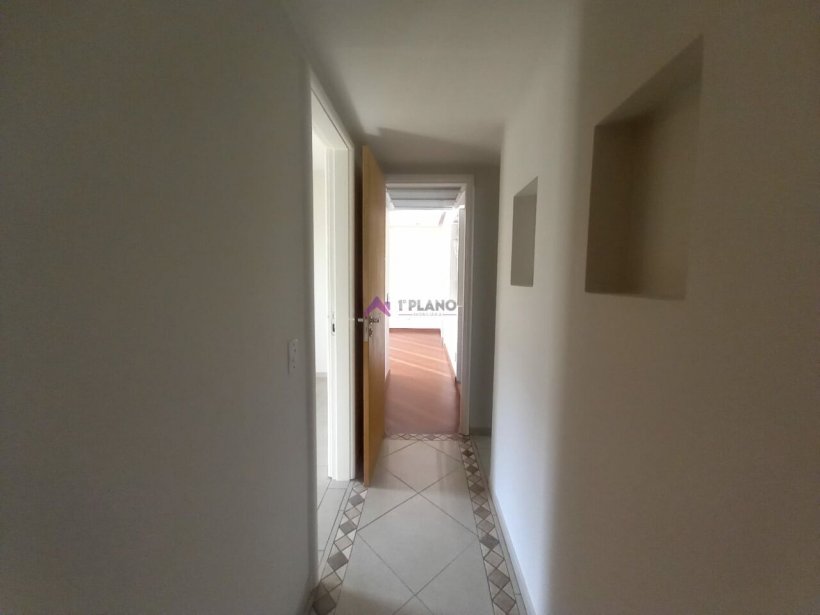 PP454033.jpg