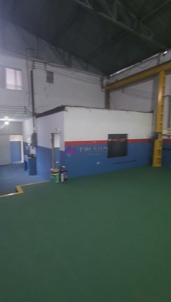PP1562005.jpg