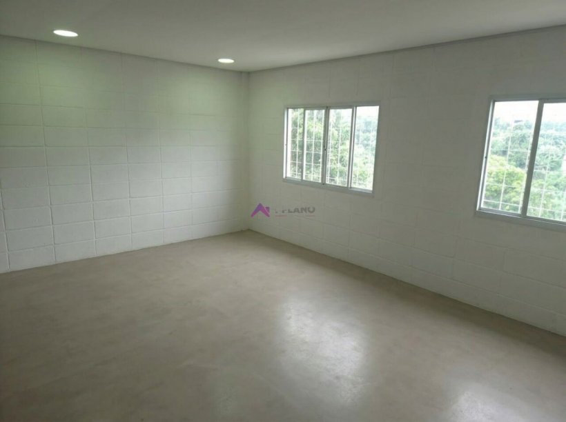 PP1736007.jpg