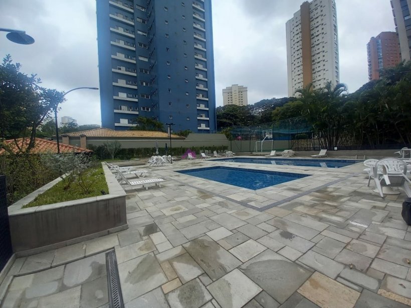 PP805028.jpg
