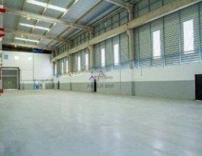 Galpão comercial para locação em São Caetano do Sul, até 970 m² de área construída PP1663002.jpg