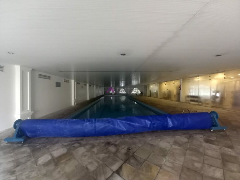 PP456027.jpg