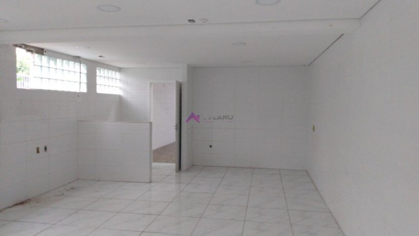 PP1668018.jpg