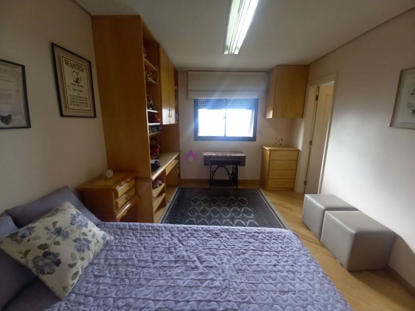 PP553018.jpg