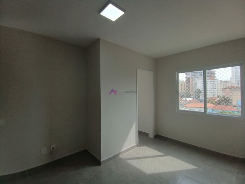 PP1256009.jpg