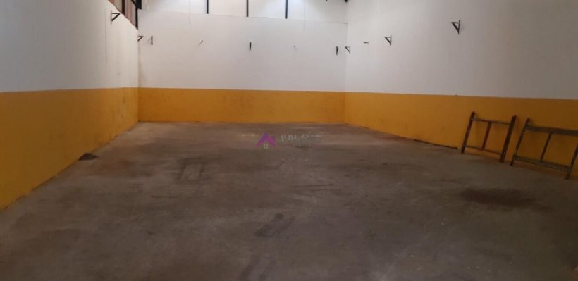 PP1659008.jpg