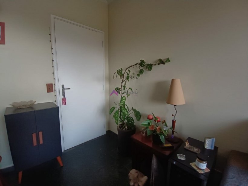 PP1573006.jpg