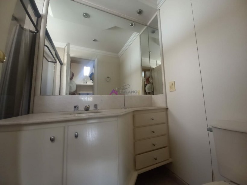 PP553003.jpg