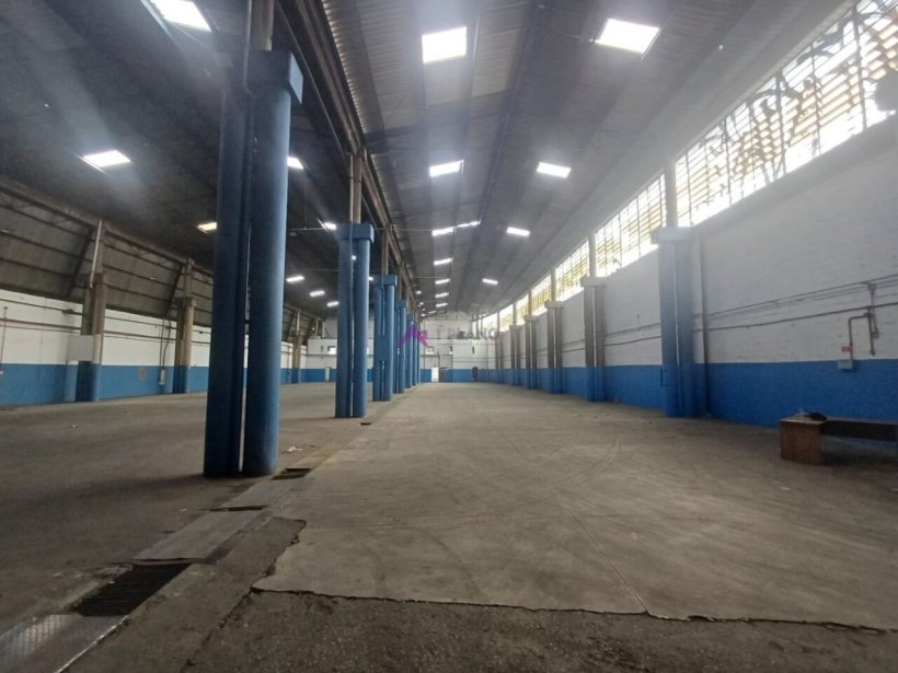 PP1658010.jpg