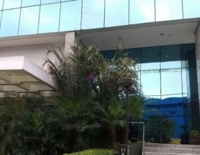 PP1810001.jpg