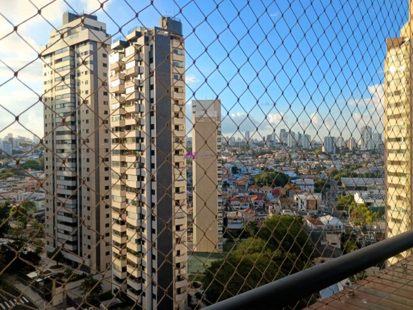 PP1127003.jpg