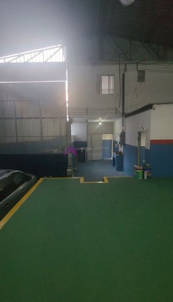PP1562007.jpg