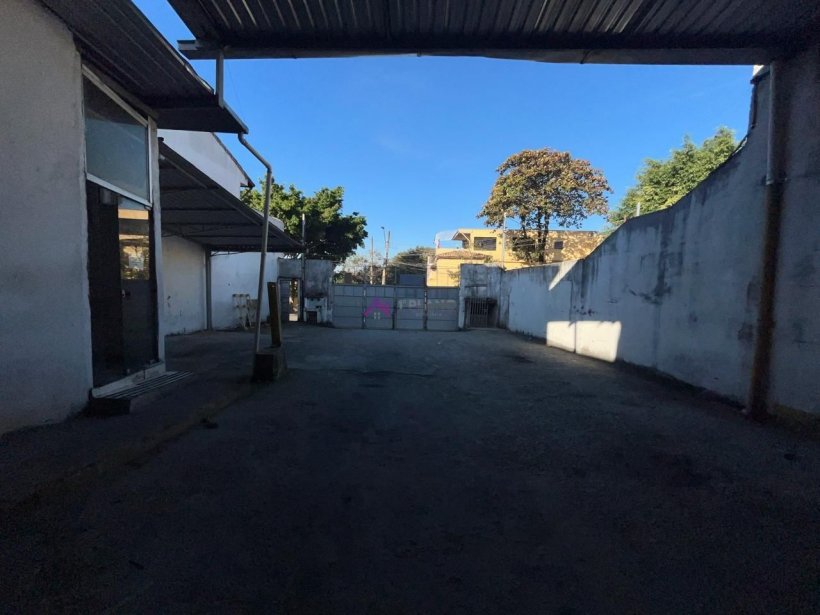 PP1727015.jpg