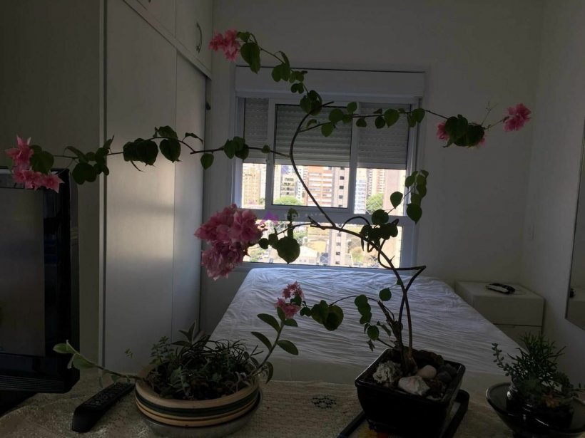 PP1029017.jpg