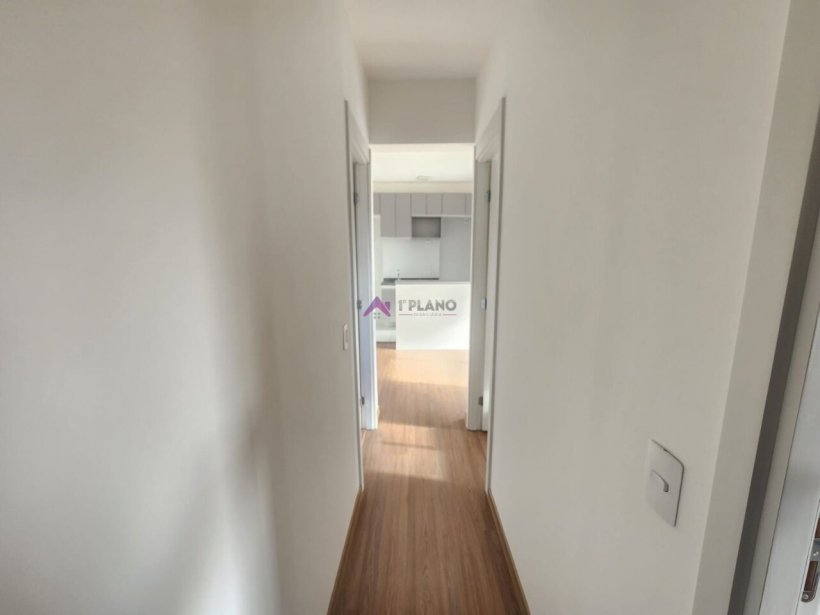 PP1648001.jpg