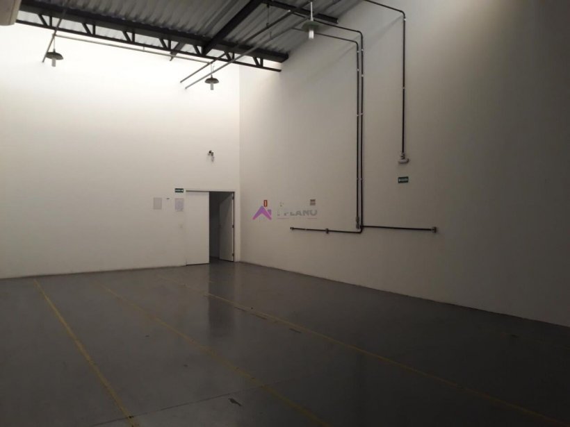 PP1670005.jpg