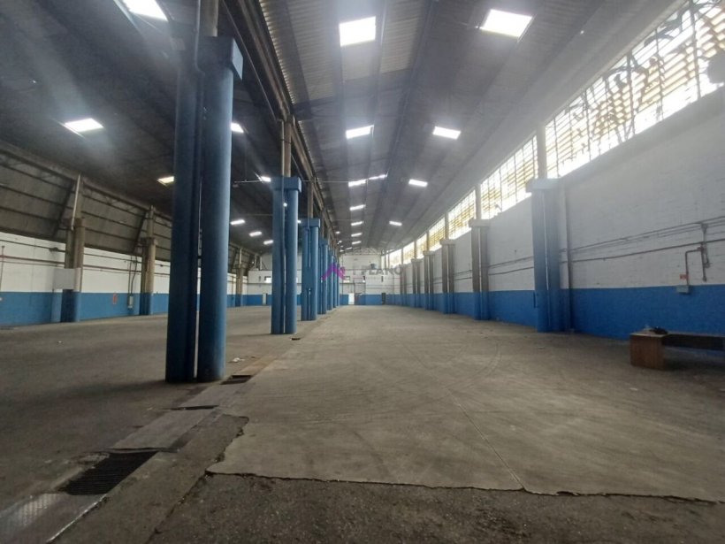 PP1658017.jpg