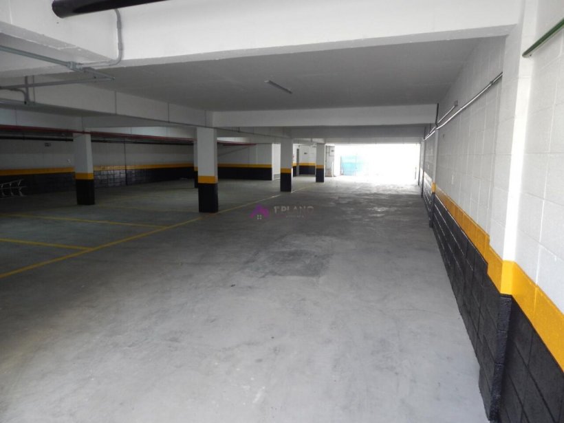 PP1669008.jpg