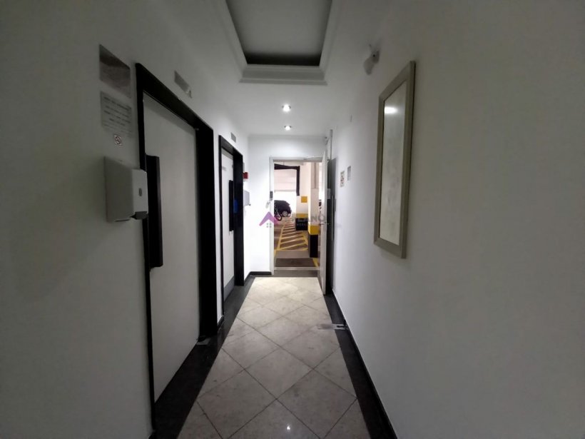 PP532023.jpg