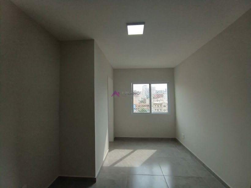 PP1256011.jpg